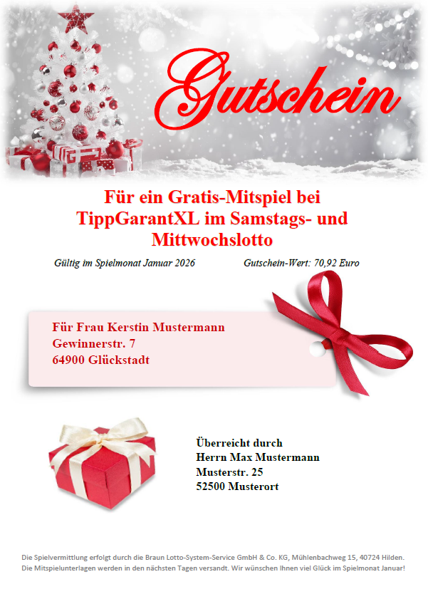 Braun Lotto-System-Service GmbH & Co. KG